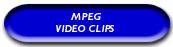 MPEG Video Clips